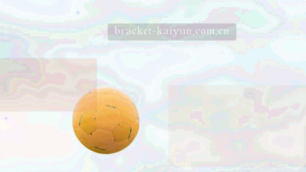 低多边形场馆线框轮廓与坐标网格组成的场馆信息图